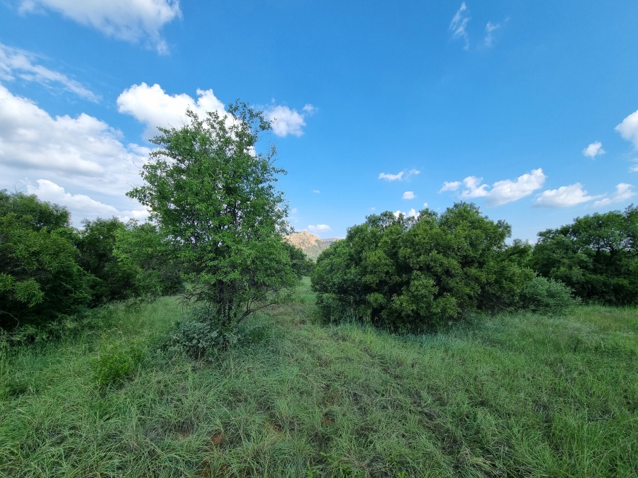 Commercial Property for Sale in Olifantsnek North West